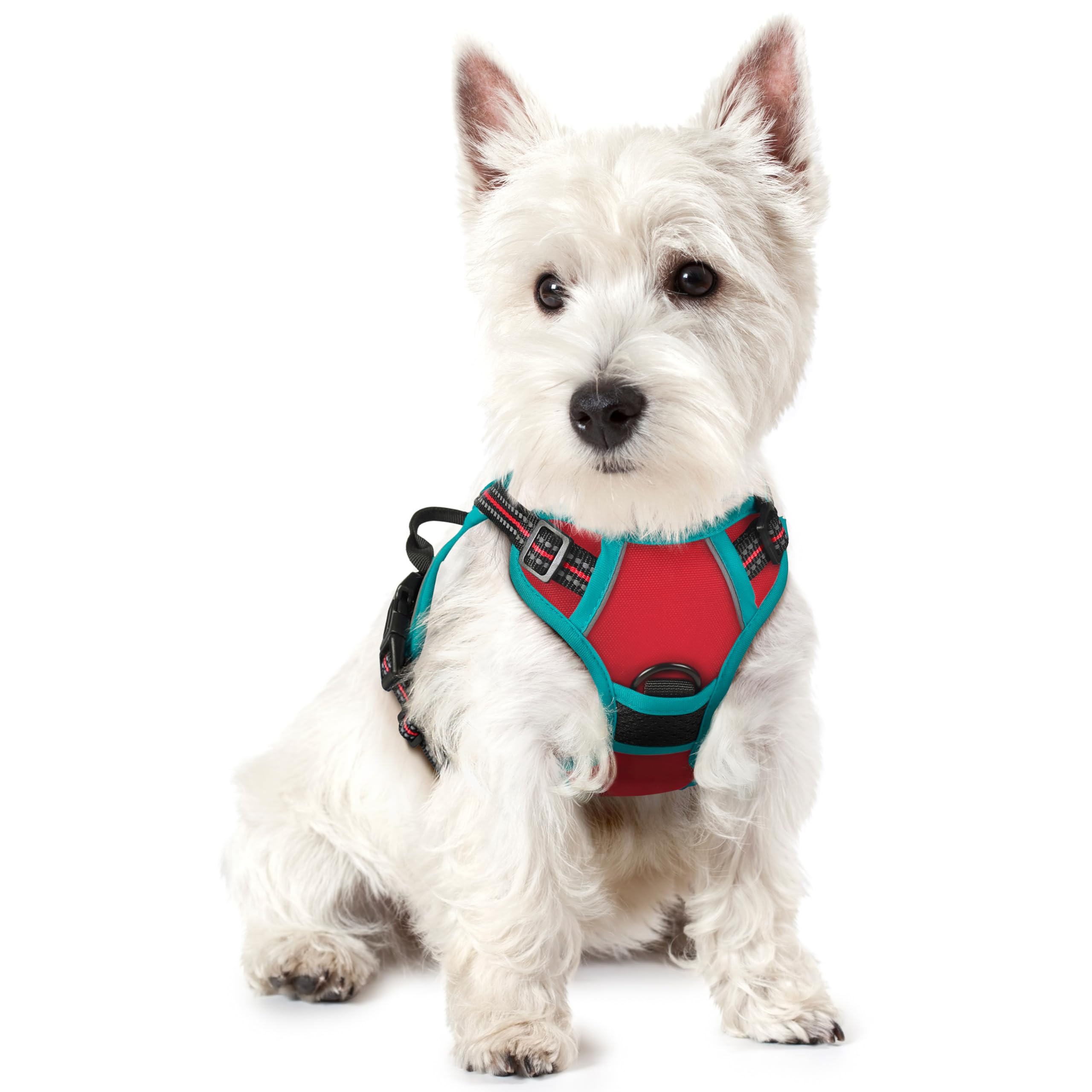 Photo 1 of rabbitgoo Dog Harness No Pull with 2 Leash Clips, Adjustable Soft Padded, Reflective Oxford No Choke Pet Vest with Easy Control Handle for Puppy, Red & Teal, XS