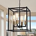 Febeleven Lantern Pendant Light, 4-Light Gold Chandelier,Modernized Ceiling Hanging Light Fixture for Bedroom Kitchen Island Foyer Living Room Dining Room Hallway