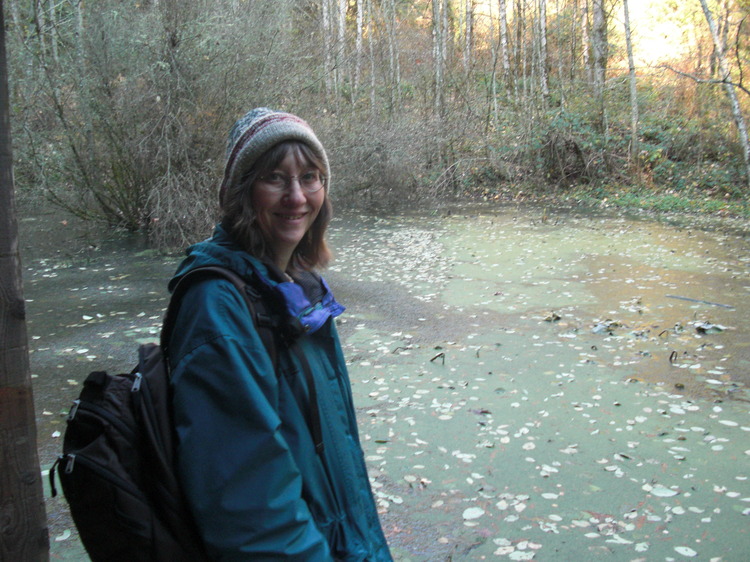 Brittle Stars Amp Mudbugs An Uncommon Field Guide To