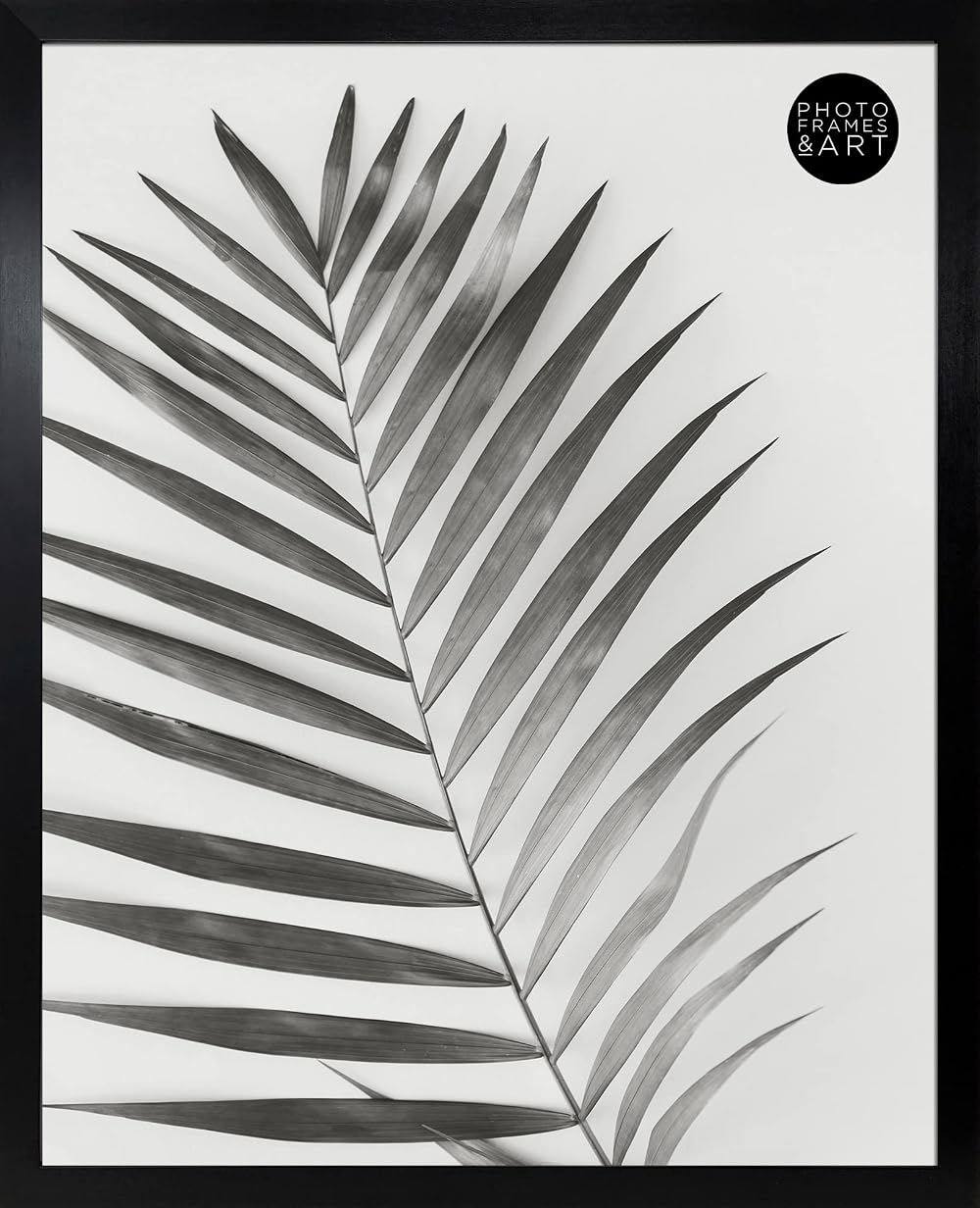 pf+a REAL GLASS Black 40x50 cm Poster Frame Oxford Black 40x50cm