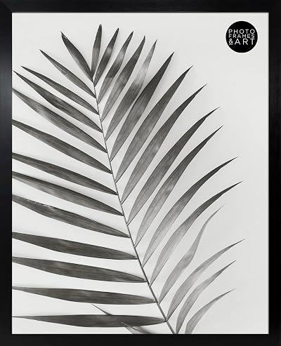 pf+a REAL GLASS Black 40x50 cm Poster Frame Oxford Black 40x50cm