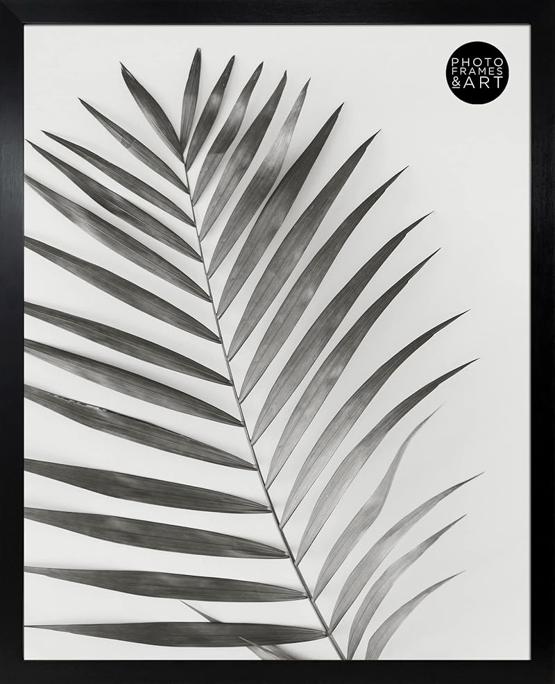 pf+a REAL GLASS Black 40x50 cm Poster Frame Oxford Black 40x50cm