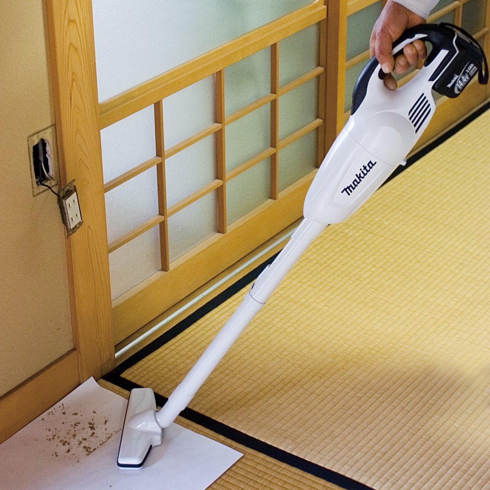 Top 10 Best Lightweight Vacuum For Pet Hair 2021 DogPsycho Mental