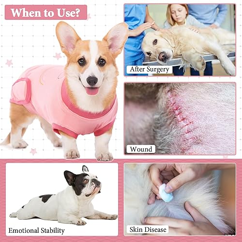 neuter surgery should you neuter your male dog