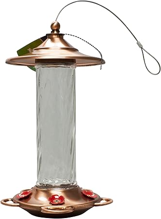 Amazon Com More Birds Glory Hummingbird Feeder Copper And Glass