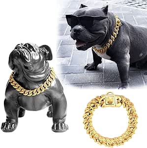 Xl bully chains Clearance