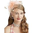 Fascinators Hats 20s 50s Hat Pillbox Hat Cocktail Tea Party Headwear with Veil for Girls and Women