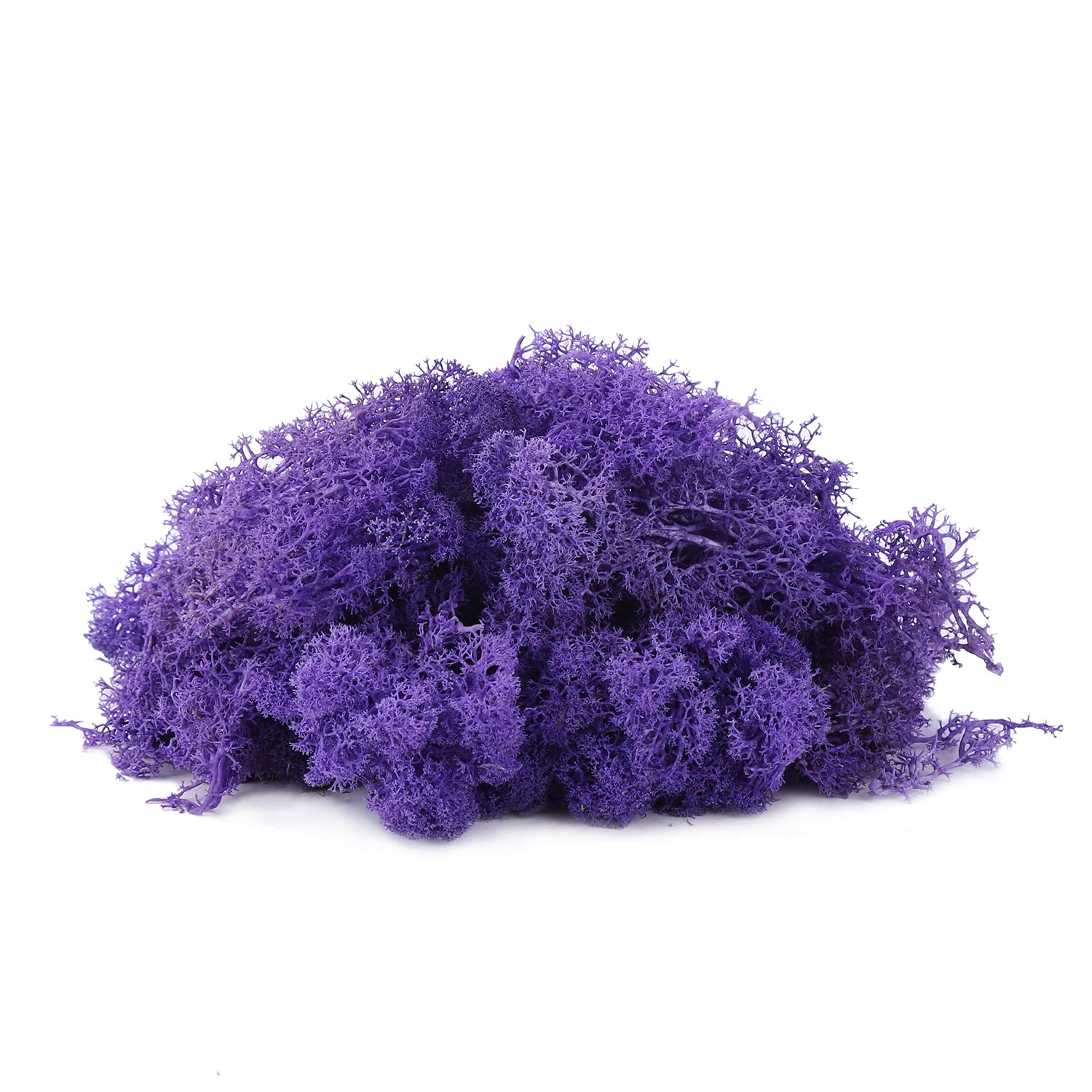 IHKFILAN Reindeer Moss 100Gram Real Preserved Natural Moss for Crafts, Decorative Moss for Easter Decoration, Model Making (Purple, 3.5OZ)
