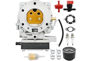 JUUDDENPARTS 693480 Carburetor Replacement for BS with 492056 Oil filter Replaces 917270821 694056 692815 693479 499306 49518
