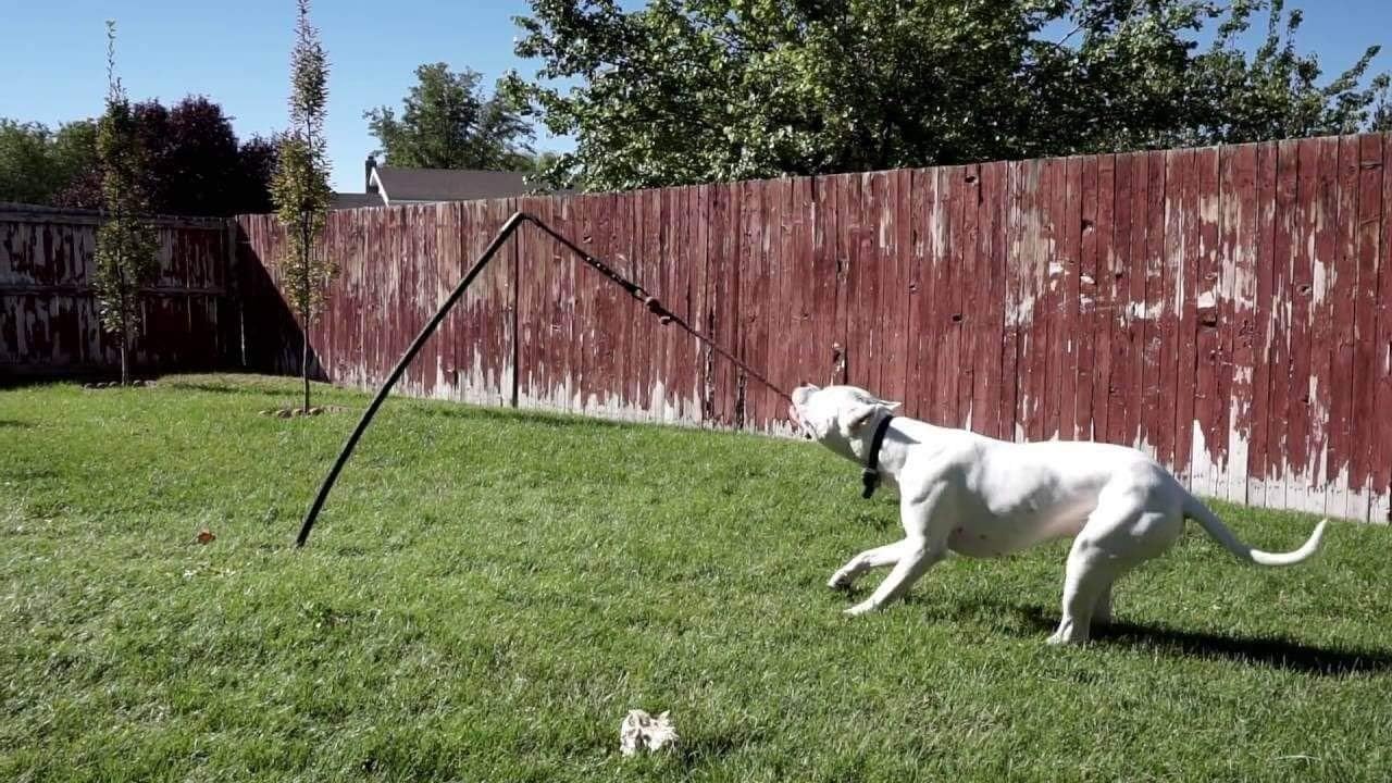 tether tug stabilizer