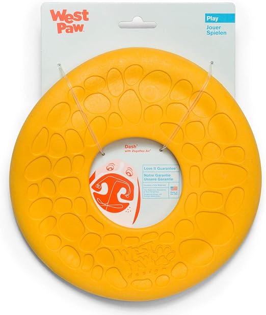 kong frisbee amazon