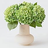 ZYTUYO 4PCS Green Fake Real Touch Hydrangea Flowers 20'' Lifelike Latex Artificial Hydrangeas for Spring Home Decor Outdoor Garden Porch Indoor Bathroom Living Room Kitchen Table Centerpiece