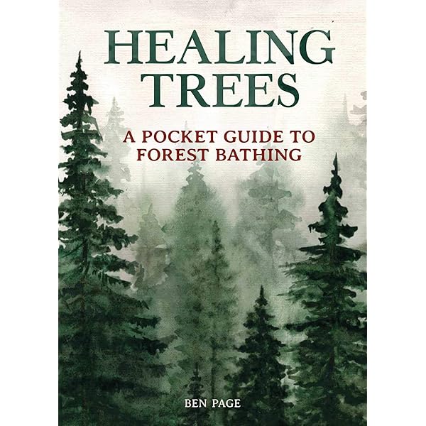 【中古】 The　Healing　Power　of　Forests The Healing Power of Forests: The Philosophy Behind