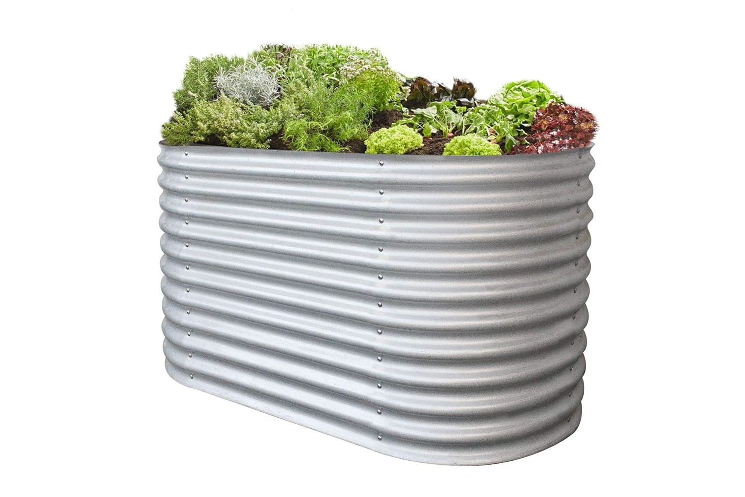 RS Trade - Jardinera de jardín para Verduras, para balcón, terraza ...