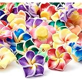 KISSITTY 200pcs 15mm Polymer Clay Flower Beads 3D Plumeria Floral Loose Spacer Beads Charms Bulk with 2mm Holes for Bracelet Necklace Earrings Jewelry Making DIY Crafts Summer Wedding Keychains Hair