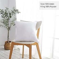 Oubonun 22 x 22 Throw Pillow Inserts
