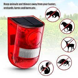 Qualirey Solar Sound and Light Alarm Motion Sensor