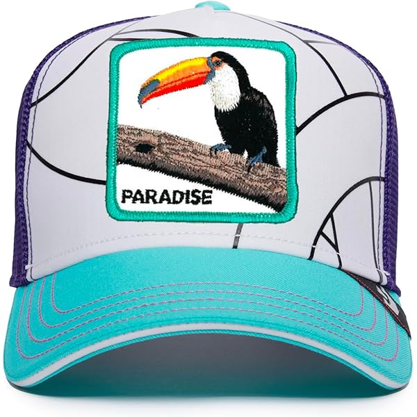 Goorin Bros. The Farm Unisex Kids Trucker Hat, Light Seychelles