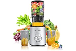 Juicer Machines, Cold Press Juicer with 5.3'' Large Feed Chute, Fit Whole Fruit and Vegetable Slow Juice Extractor Machine, 3