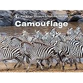 Camouflage (Science for Toddlers)