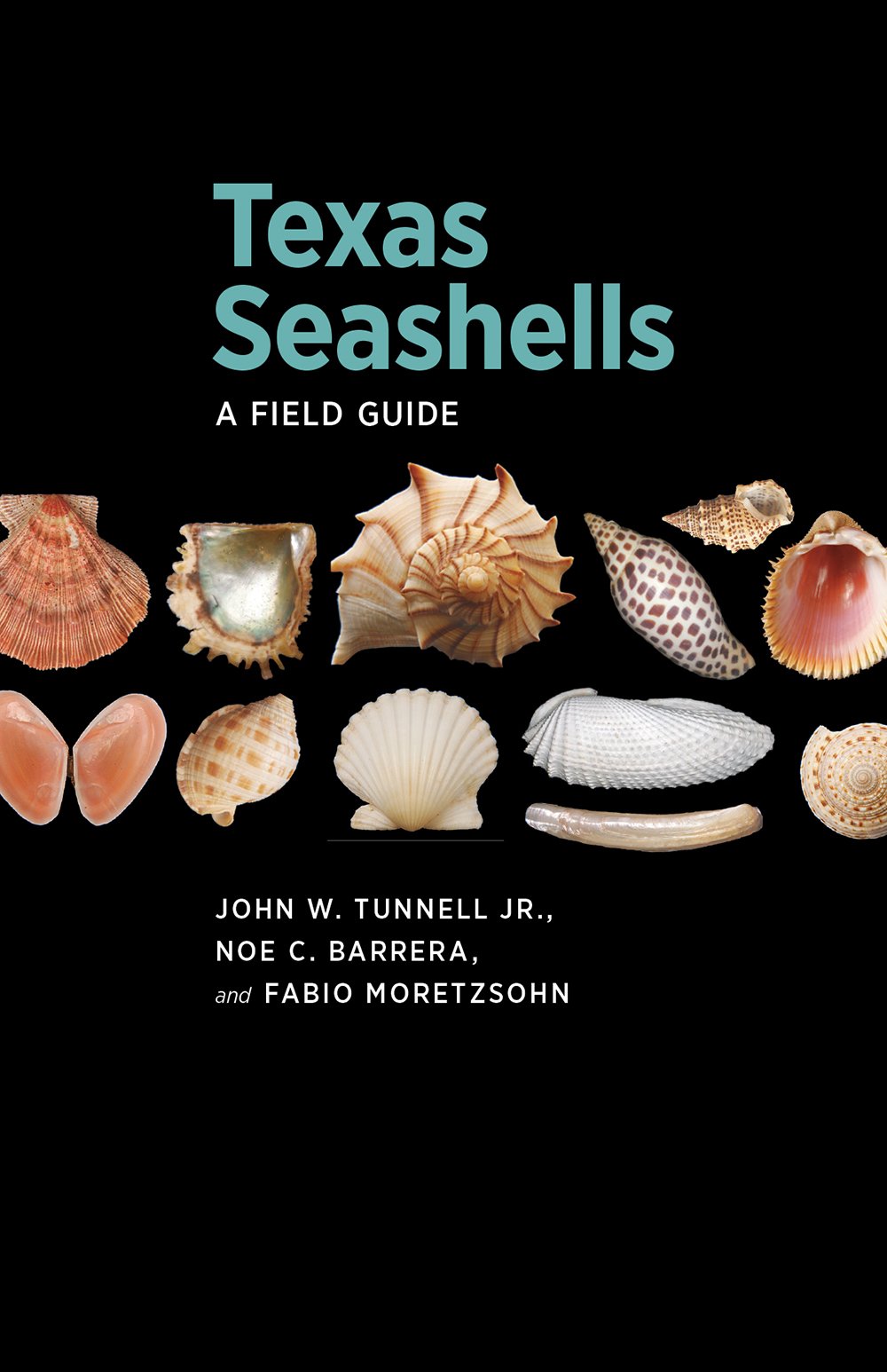 texas gulf coast living on Texas Seashells A Field Guide Harte Research Institute For Gulf Of Mexico Studies Series Sponsored By The Harte Research Institute For Gulf Of Mexico Studies Texas A M University Corpus Christi Tunnell Jr John