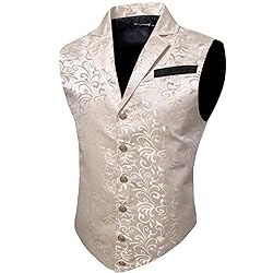 Barry.Wang Beige Victorian Vest Loki Men Costume