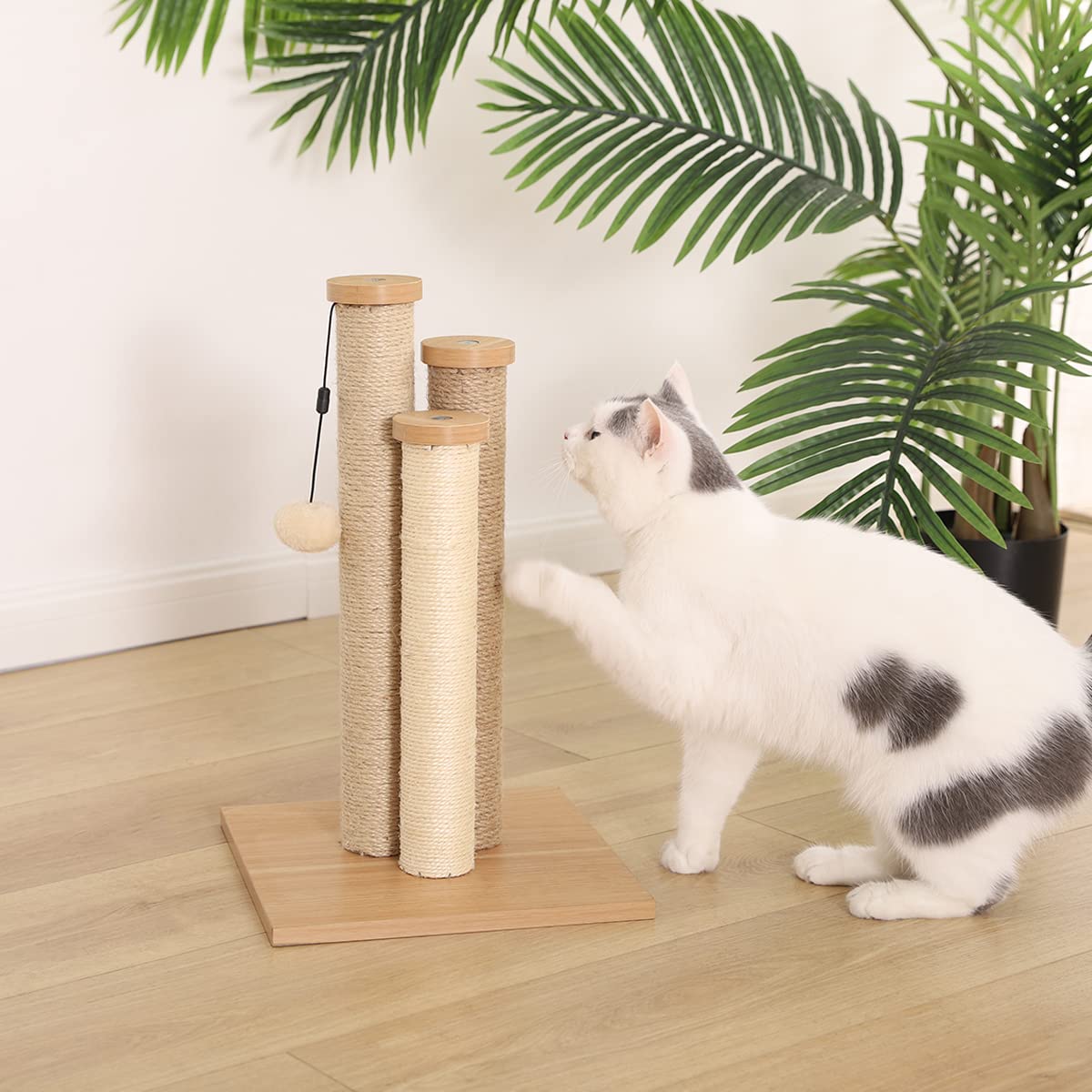 AmazonBasics Cat Triple Scratching Posts 3