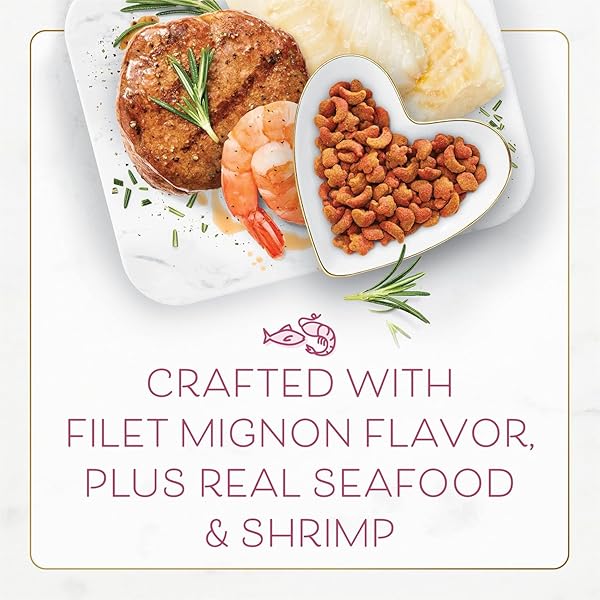 FANCY FEAST PURINA FILET MIGNON FLAVOR WITH REAL SEAFOOD & SHRIMP DRY CAT FOOD (7 OUNCE (PACK OF 1))