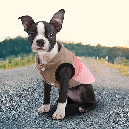 Idepet Haustier Hund Katze Mantel mit Leine Anker Farbe Patchwork gepolsterte Welpen Weste Teddy Jacke Chihuahua Kostüme Mops