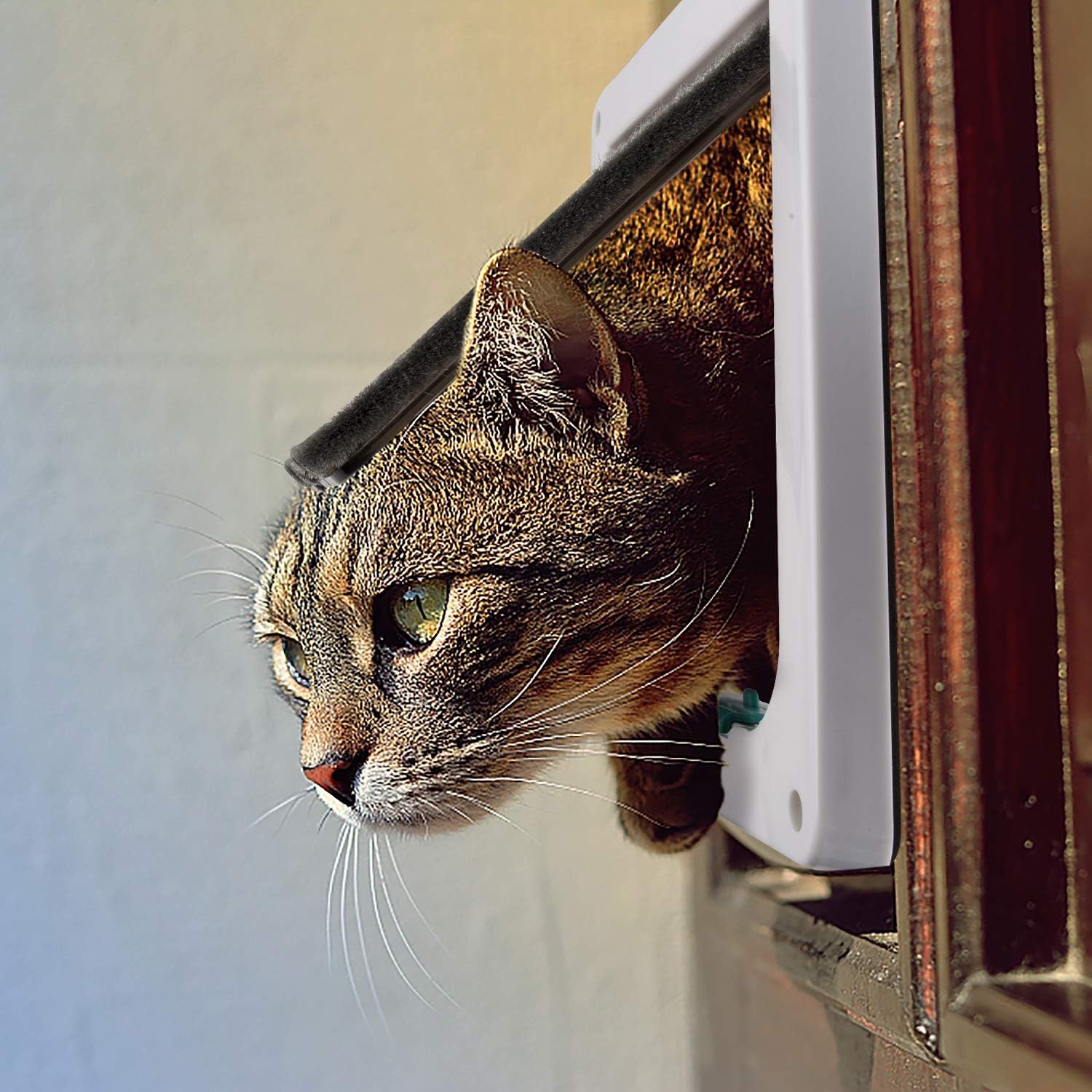 Depets Medium Cat Flap Door with 4 Way Lock (Outer Size 7.5" x 7.8"), Magnetic Pet Door Kit White, Weather-Resistant Cat Door for Cats & Doggy : Pet Supplies