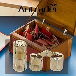 Antrader 4-Pack 10mm Brass Barrel Hinges