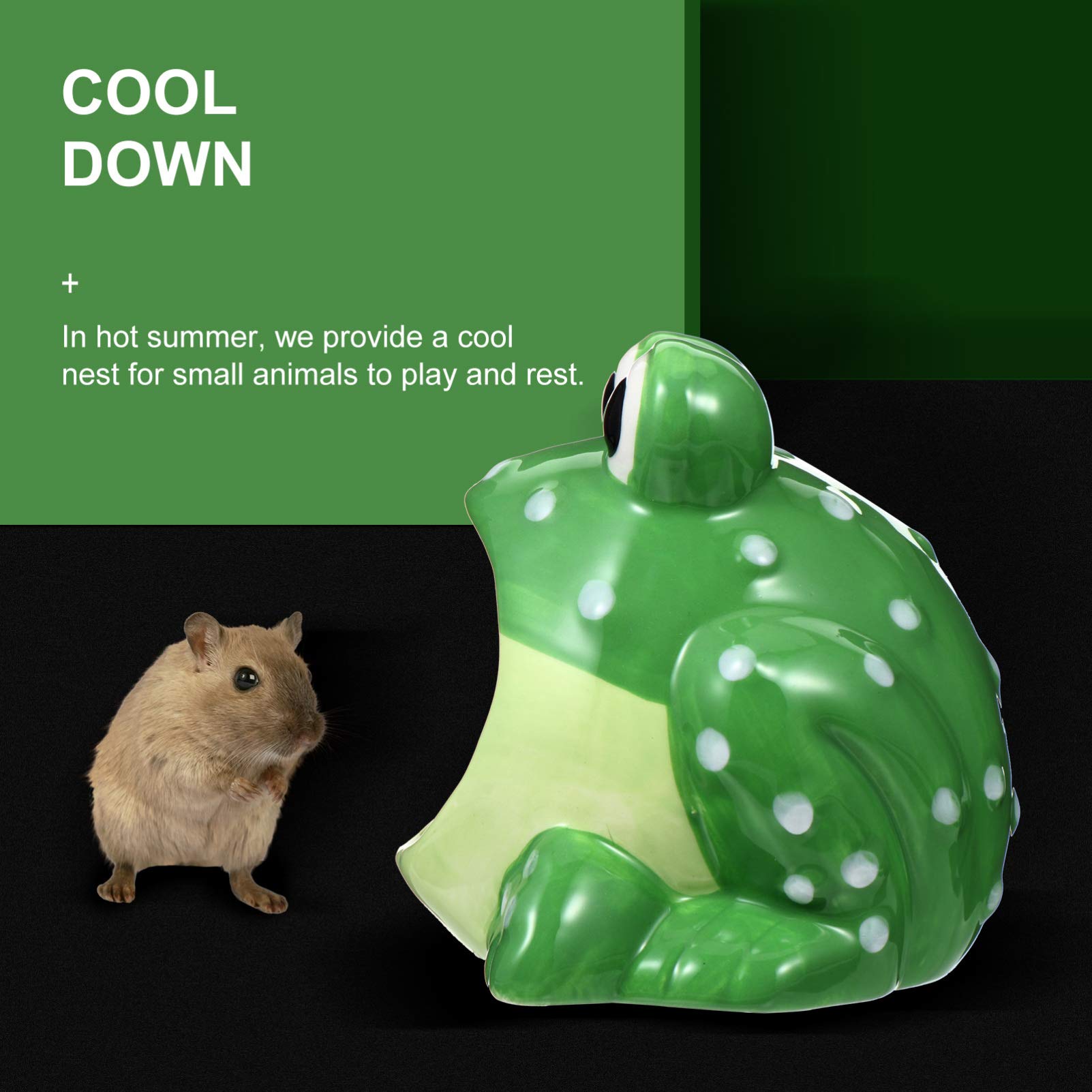 View 4