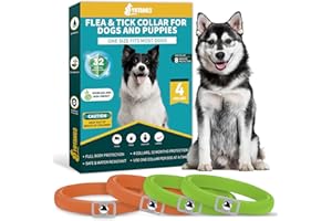 YOTANGO 4 Pack Flea Collar for Dogs, Dog Flea and Tick Collar 8 Months Flea and Tick Treatment Prevention for Dogs, Waterproof Adjustable Dog Flea Collar Natural Tick and Flea Collar for Dogs (Oragne&Green)