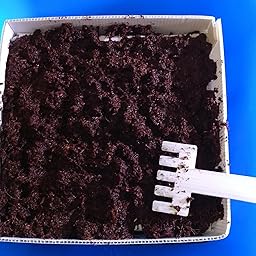 Huerto Urbano - Seed Box Kids - Batlle: Amazon.es: Jardín