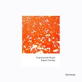 Hemway Fluorescent Peach Orange Glitter Shaker 130g 1/8" Metallic Flake view 2