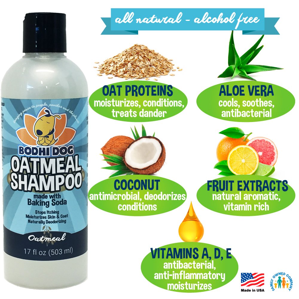 Best Shampoo for Husky Get the Best Care for Your Husky The Pet Town