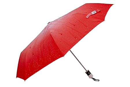 Red Folding Umbrella (Kareenared1)