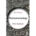 Phenomenology: The Basics