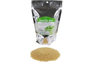 HANDY PANTRY Organic Hulled (Husk Removed) Millet Seeds: 1 Lb - Non-GMO Cereal Grain - Make Millet Beer, Grind Millet Flour, Cereal, Bird Seed, Emergency Food Storage