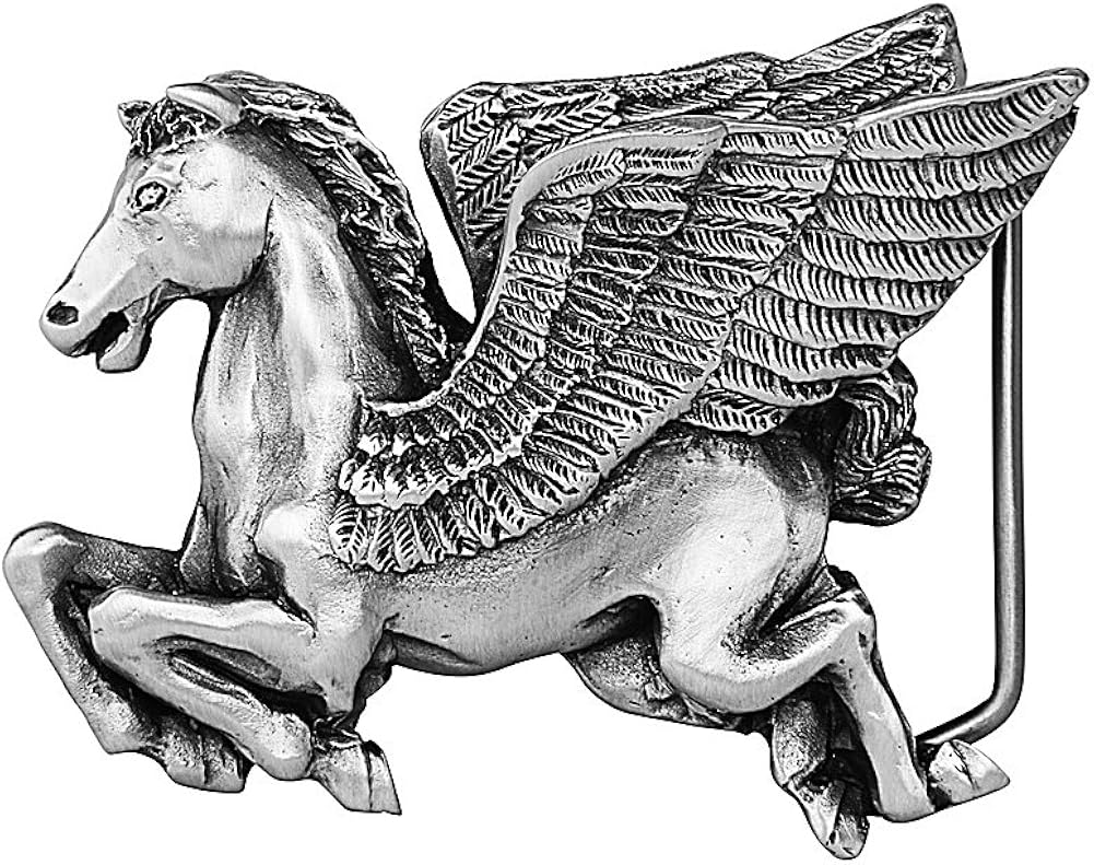 bsl pegasus