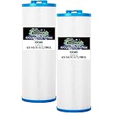 HANXER® 4CH-949 Spa Filter Cartridge Compatible with PWW50L, Filbur FC-0172, FC0172, 817-4050, Cal Spa AK-90091, 200702, SD-01143, Rising Dragon 50, 40508, 50 sq.ft. Hot Tub Filter, 2 Pack