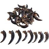 10 Porcupine Claws Taxidermy Beads Crafts Jewelry