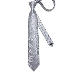 DiBanGu Silk Paisley Ties for Men Woven Necktie and