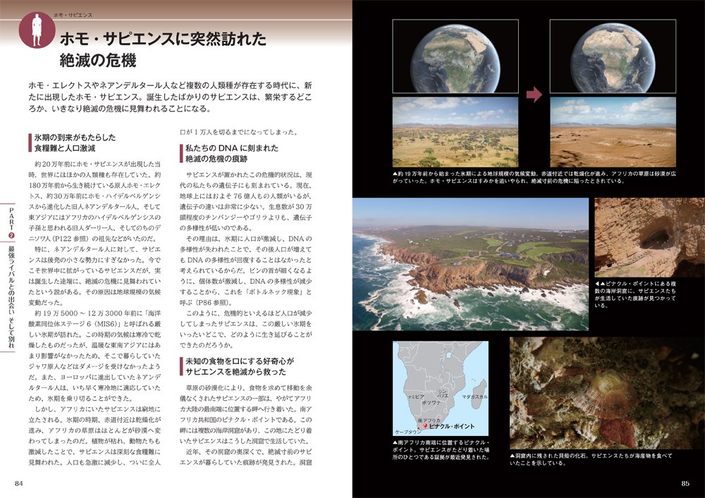 Nhkスペシャル 人類誕生 Nhkスペシャル 人類誕生 制作班 悠男 馬場 本 通販 Amazon