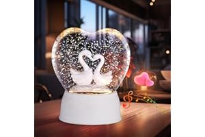 FETIWILSO Lighted Snow Globe Lantern, Music Box Crystal Ball Glass Snowglobes Gift for Women Friends Girlfriend Female Kids Baby Girls Sister Niece Granddaughter Daughter Mom Birthday Wedding- White