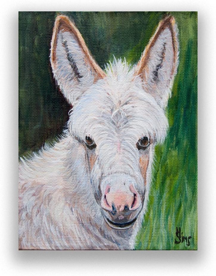 Miniature White Donkey Art Print Giclee Animal Pictures Rustic Farmhouse Wall Decor Size Mat Option