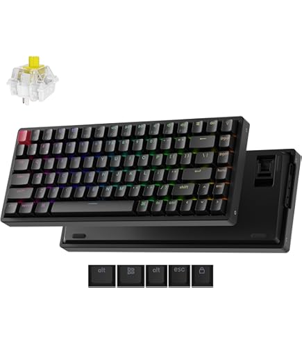 Amazon.com: Keychron K2 QMK Wireless Mechanical Gaming Keyboard