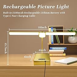 Picture Light with Remote, 18inch Wireless