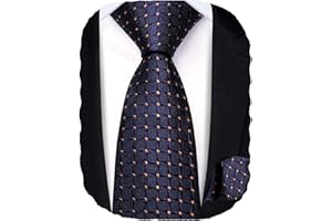 Hi-Tie Boys Ties Self Tie Silk Striped Kids Necktie and Pocket Square Set Paisley Boys Tie for Age 8-11 Wedding