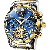 OLEVS Automatic Mechanical Watches for Men Self Winding Waterproof Stainless Steel Men's Wrist Watches Luxury Expensive Watch,Adjustable Bracelet (Gift Tool)